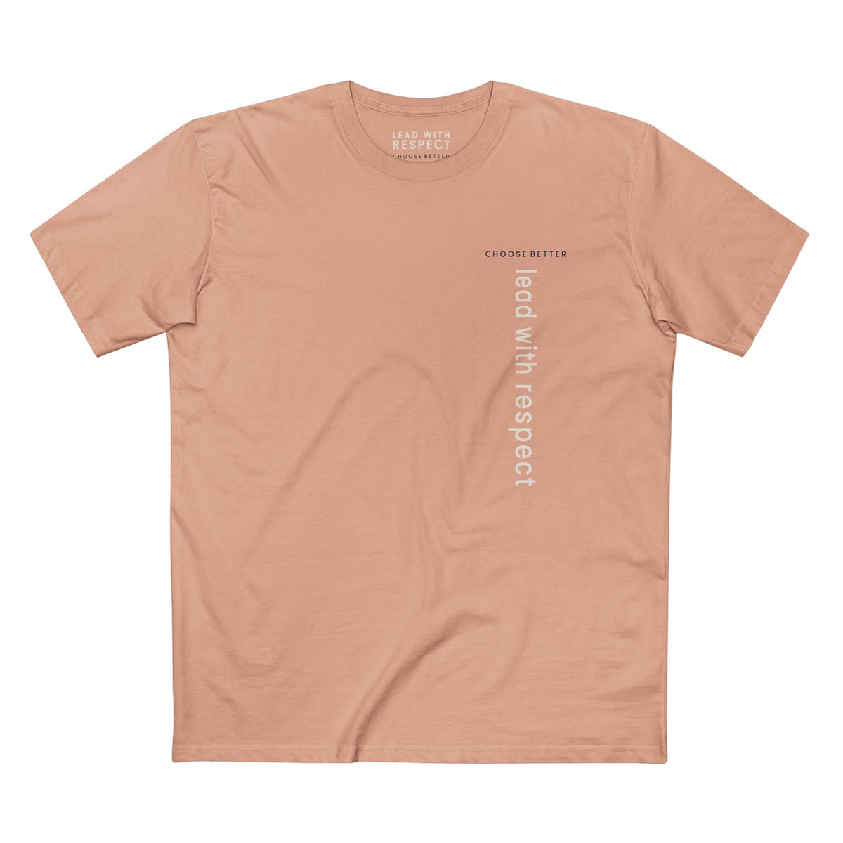 LEAD WITH RESPECT VERTICAL STREAM PREMIUM T-SHIRT in Pale Pink