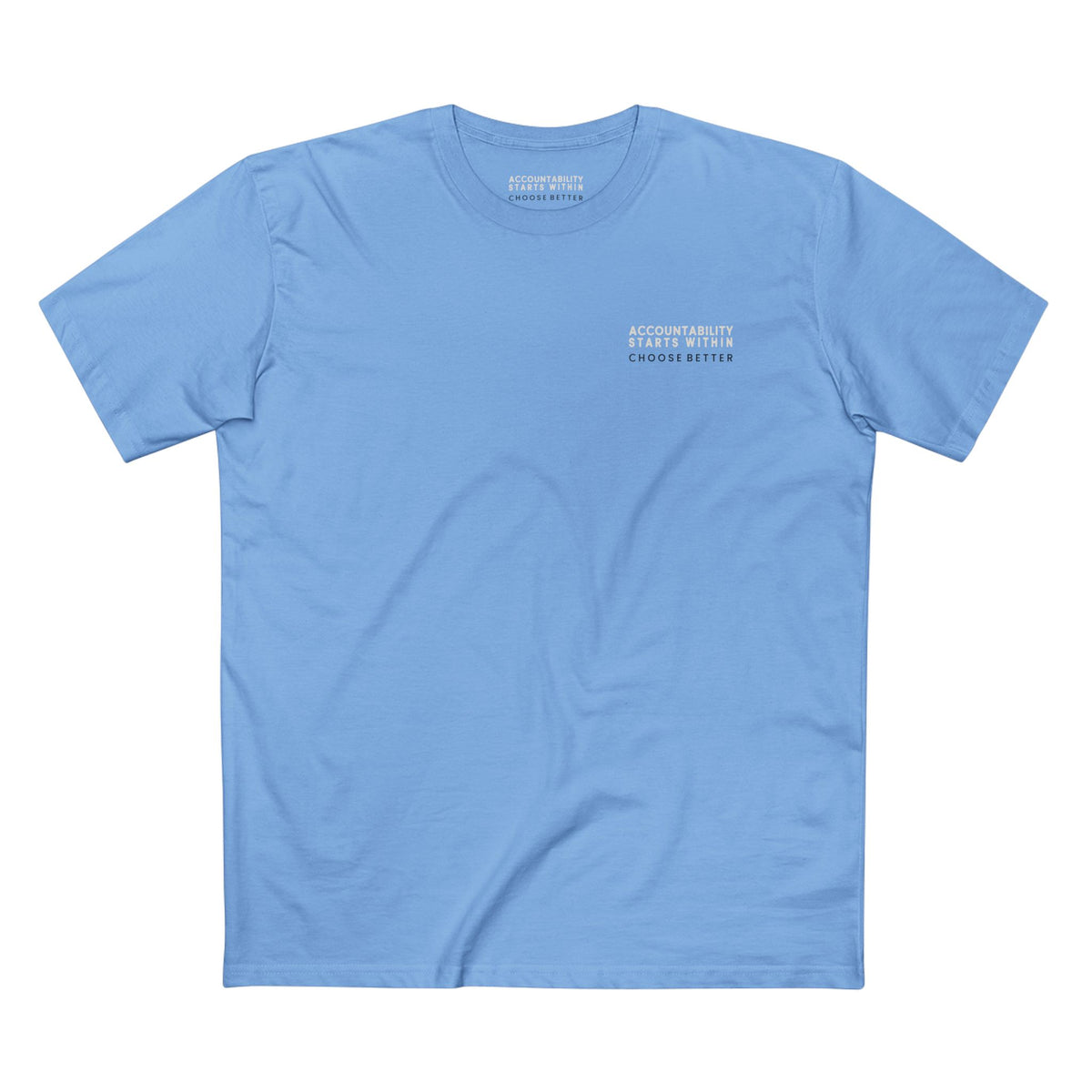 ACCOUNTABILITY STARTS WITHIN MINIMAL PREMIUM T-SHIRT in Carolina Blue
