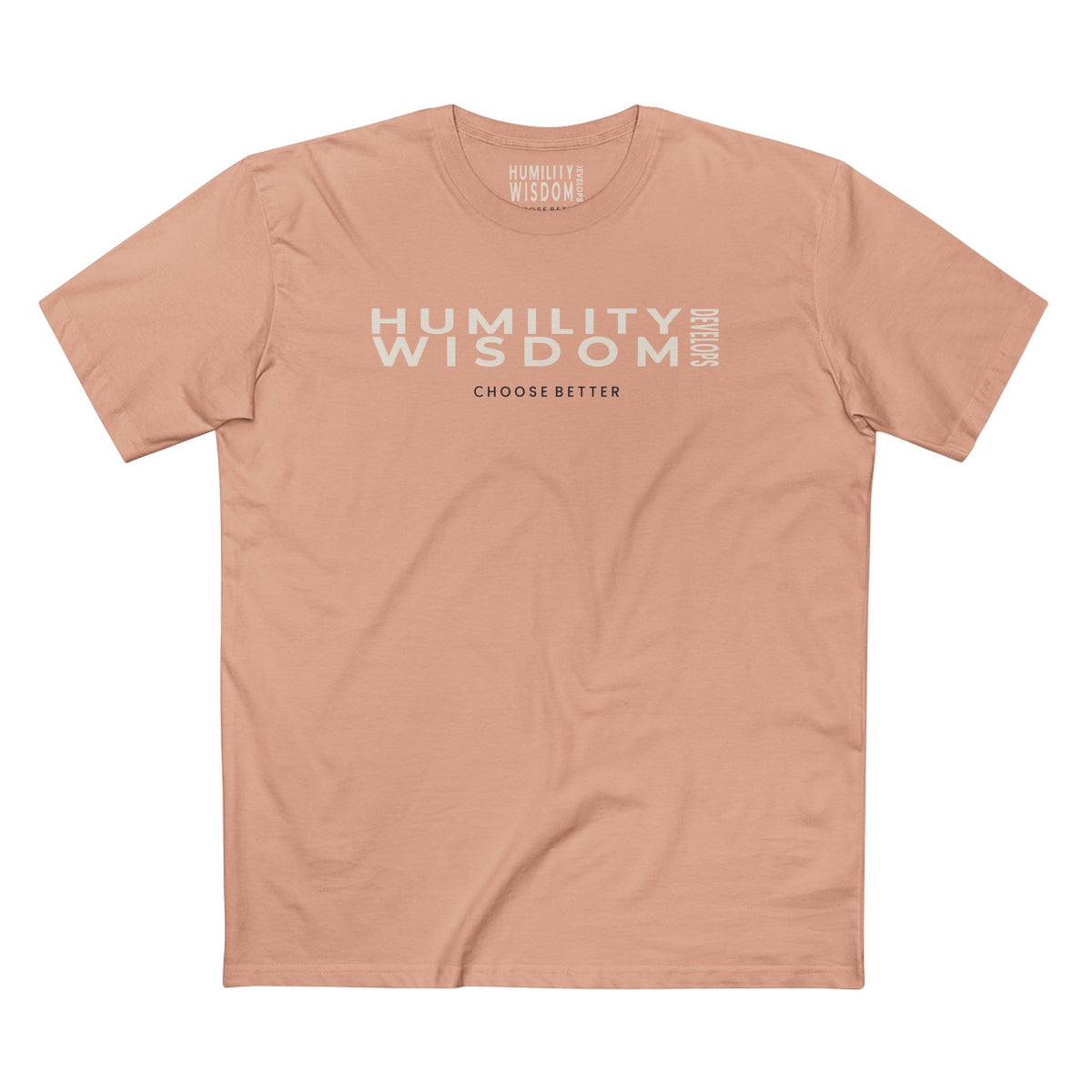 HUMILITY DEVELOPS WISDOM PANORAMIC PREMIUM T-SHIRT in Pale Pink