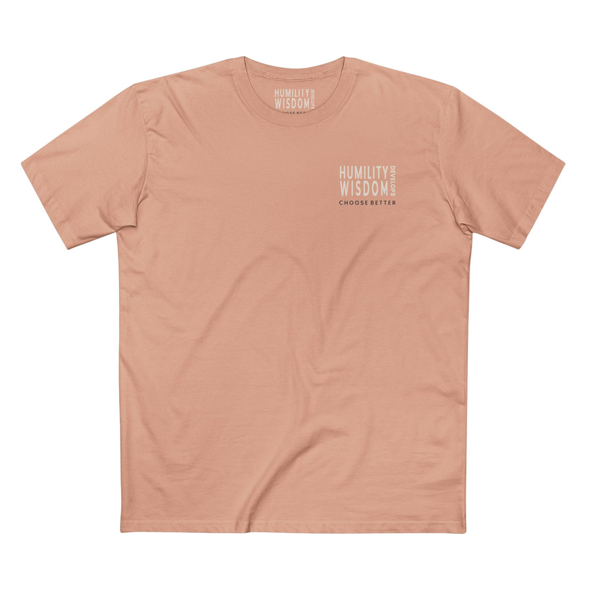 HUMILITY DEVELOPS WISDOM MINIMAL PREMIUM T-SHIRT in Pale Pink