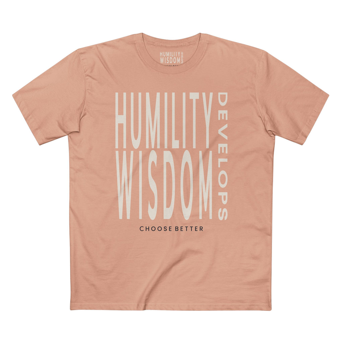 HUMILITY DEVELOPS WISDOM BOLD PREMIUM T-SHIRT in Pale Pink