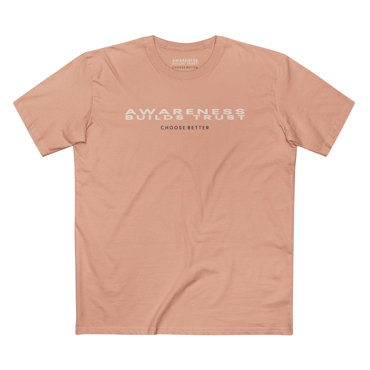 AWARENESS BUILDS TRUST PANORAMIC PREMIUM T-SHIRT in Pale Pink