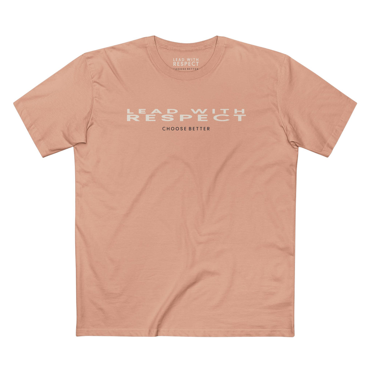 LEAD WITH RESPECT PANORAMIC PREMIUM T-SHIRT in Pale Pink