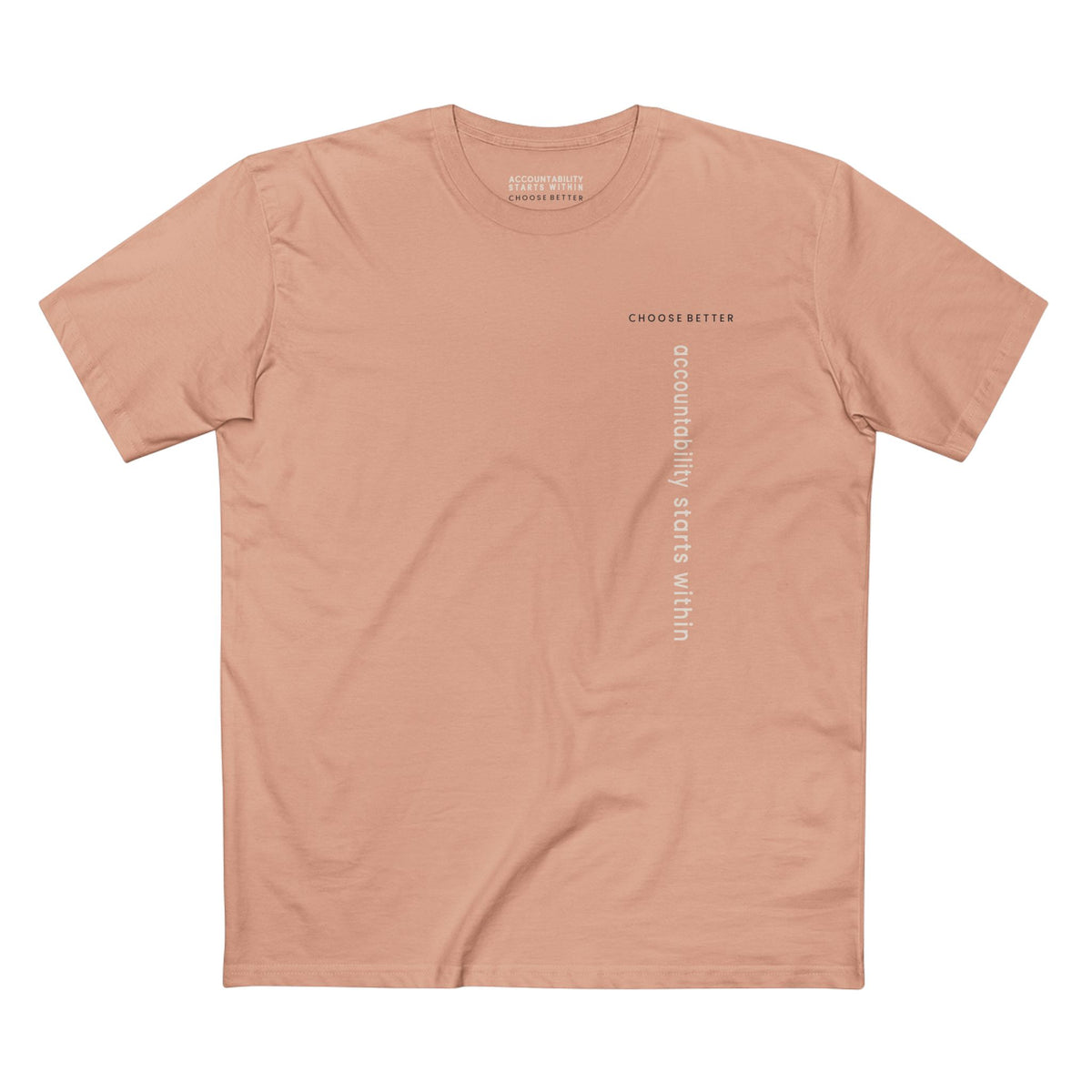 ACCOUNTABILITY STARTS WITHIN VERTICAL STREAM PREMIUM T-SHIRT in Pale Pink